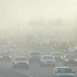 Smog in rush hour traffic.